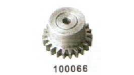 100066