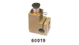 60019