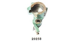 20258