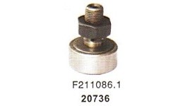 20736
