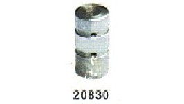 20830