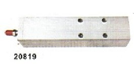 20819