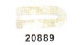 20889