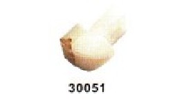 30051